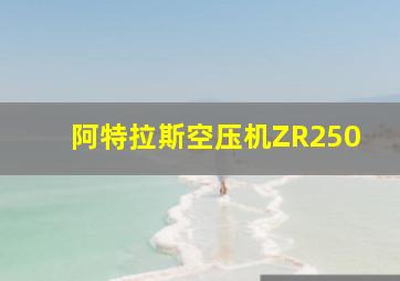 阿特拉斯空压机ZR250