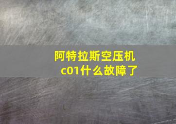 阿特拉斯空压机c01什么故障了