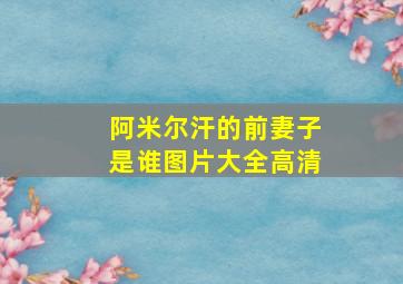 阿米尔汗的前妻子是谁图片大全高清