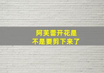 阿芙蕾开花是不是要剪下来了