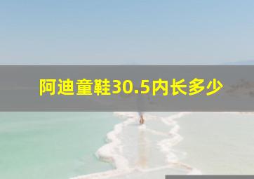 阿迪童鞋30.5内长多少