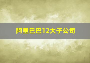 阿里巴巴12大子公司