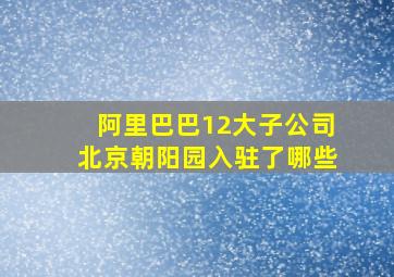 阿里巴巴12大子公司北京朝阳园入驻了哪些