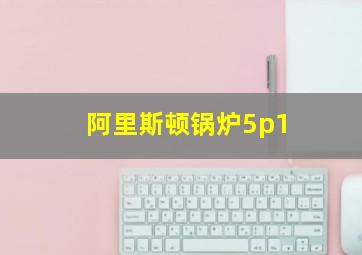 阿里斯顿锅炉5p1