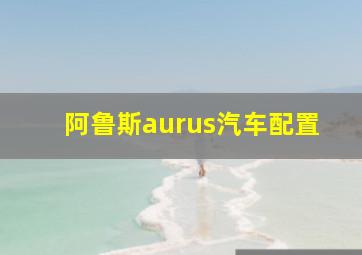 阿鲁斯aurus汽车配置