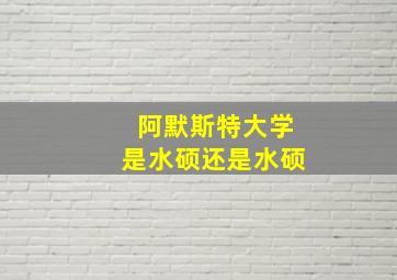 阿默斯特大学是水硕还是水硕