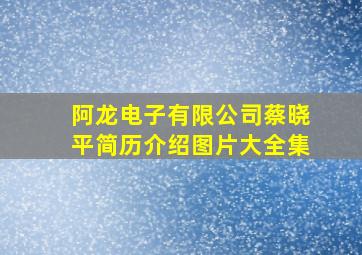 阿龙电子有限公司蔡晓平简历介绍图片大全集