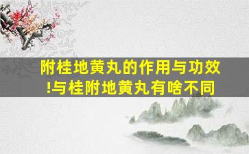 附桂地黄丸的作用与功效!与桂附地黄丸有啥不同