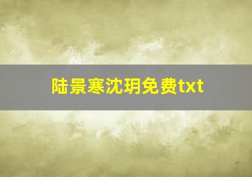 陆景寒沈玥免费txt