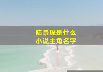 陆景琛是什么小说主角名字