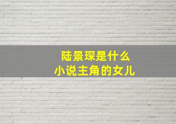 陆景琛是什么小说主角的女儿