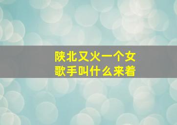 陕北又火一个女歌手叫什么来着