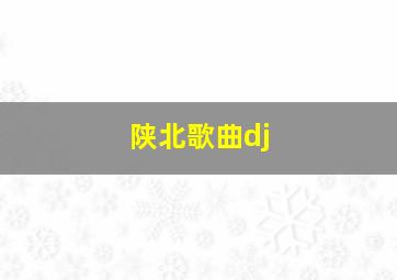 陕北歌曲dj