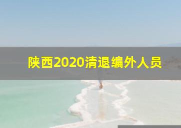 陕西2020清退编外人员