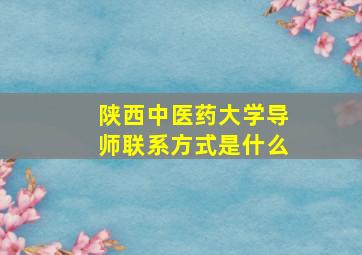 陕西中医药大学导师联系方式是什么