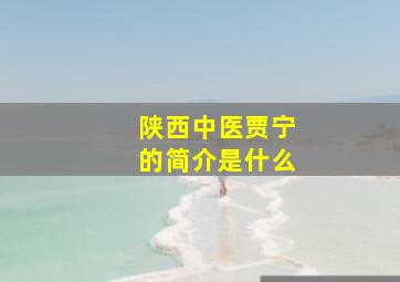 陕西中医贾宁的简介是什么