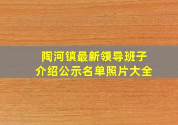 陶河镇最新领导班子介绍公示名单照片大全