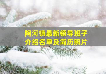 陶河镇最新领导班子介绍名单及简历照片