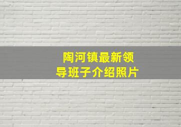 陶河镇最新领导班子介绍照片