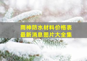 雨神防水材料价格表最新消息图片大全集