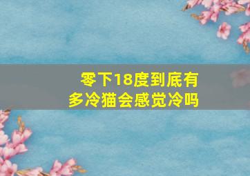 零下18度到底有多冷猫会感觉冷吗