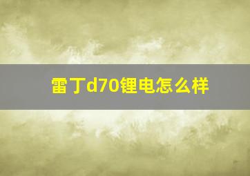 雷丁d70锂电怎么样