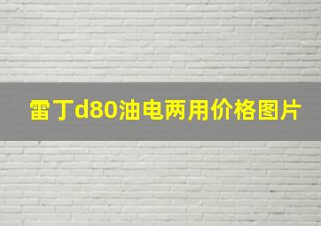 雷丁d80油电两用价格图片