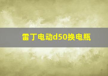 雷丁电动d50换电瓶