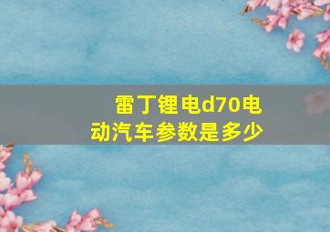 雷丁锂电d70电动汽车参数是多少