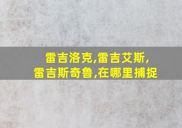 雷吉洛克,雷吉艾斯,雷吉斯奇鲁,在哪里捕捉