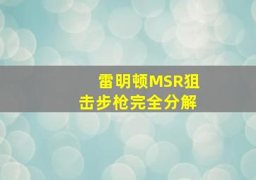 雷明顿MSR狙击步枪完全分解