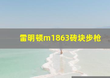 雷明顿m1863砖块步枪