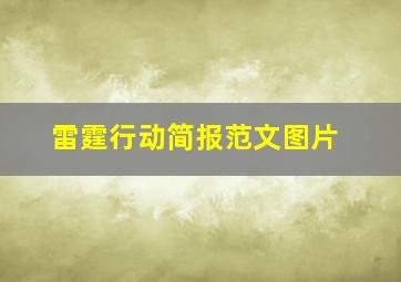 雷霆行动简报范文图片