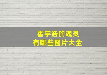 霍宇浩的魂灵有哪些图片大全