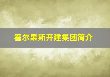 霍尔果斯开建集团简介