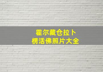 霍尔藏仓拉卜楞活佛照片大全