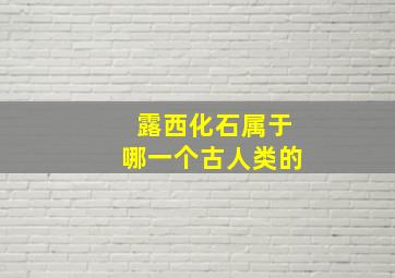 露西化石属于哪一个古人类的