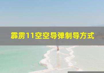 霹雳11空空导弹制导方式