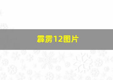 霹雳12图片