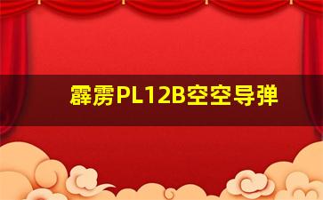 霹雳PL12B空空导弹