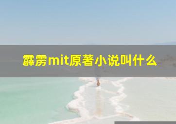 霹雳mit原著小说叫什么