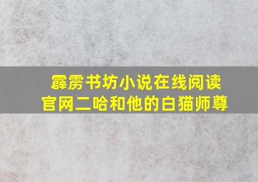 霹雳书坊小说在线阅读官网二哈和他的白猫师尊