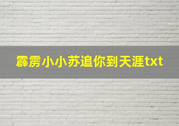 霹雳小小苏追你到天涯txt