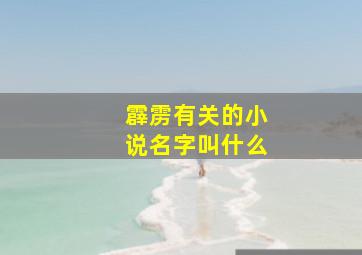 霹雳有关的小说名字叫什么