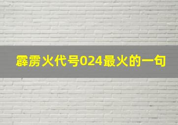 霹雳火代号024最火的一句