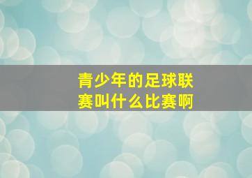 青少年的足球联赛叫什么比赛啊