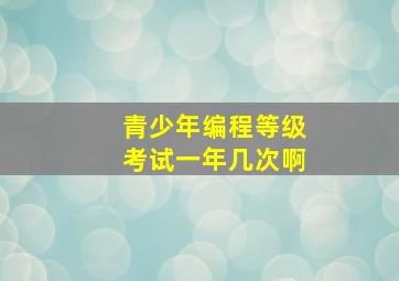 青少年编程等级考试一年几次啊