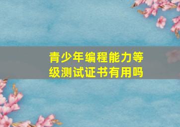 青少年编程能力等级测试证书有用吗