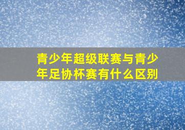 青少年超级联赛与青少年足协杯赛有什么区别