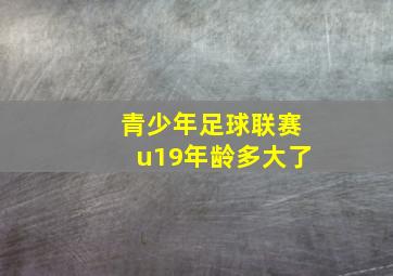 青少年足球联赛u19年龄多大了